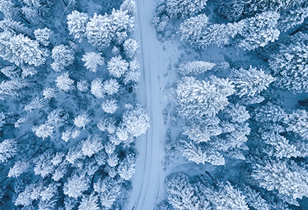 动‌⁠态⁠​感‍知